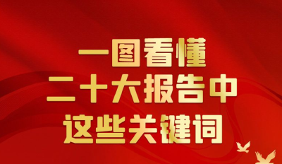 一图看懂二十大报告中这些关键词
