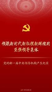 领航新时代新征程新辉煌的坚强领导集体——党的新一届中央领导机构产生纪实