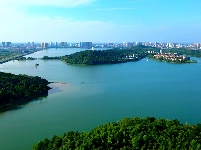 组图 | 水润嘉鱼 一幅国画