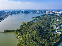 组图 | 水润嘉鱼 一幅国画
