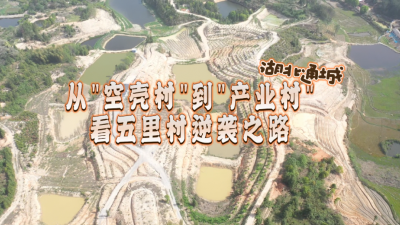湖北通城：从“空壳村”到“产业村” 看五里村逆袭之路