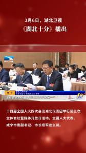 3月6日，湖北卫视《湖北十分》，全国人大代表、咸宁市委副书记、市长杨军这么说
