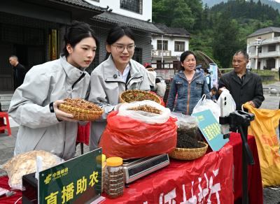 通城：助农直播进乡村 流动邮局惠民生 