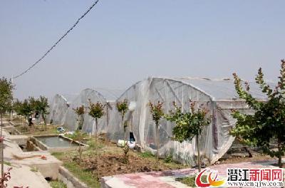 熊农官庄垸：建设“民富村美风气好”的新农村 