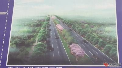 “东环”变“东城” 城区部分道路将正式命名 