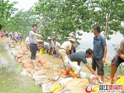 市领导视察险段防汛工作 
