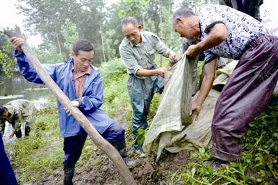 潜江严防死守筑牢防汛“堤坝” 