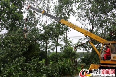 暴雨致全市11.7万人口受灾 造成直接经济损失3135.4万元 