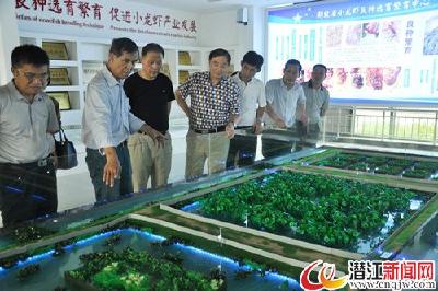 上海市崇明县政协来潜考察特色农产品养殖 