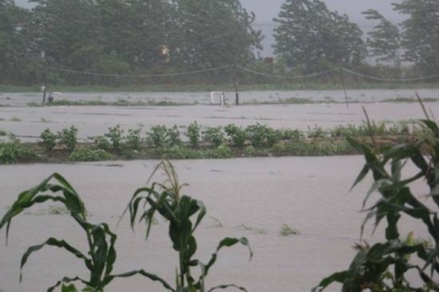 暴雨已致全市33.58万人受灾 今明两天仍有持续降雨 