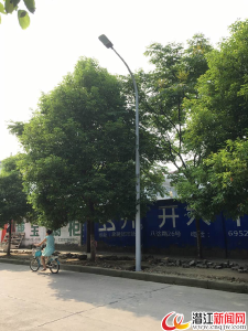 路灯亮了，人气旺了！ 