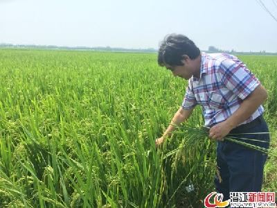 马江陵：抢占商机 做富硒稻种植第一人 