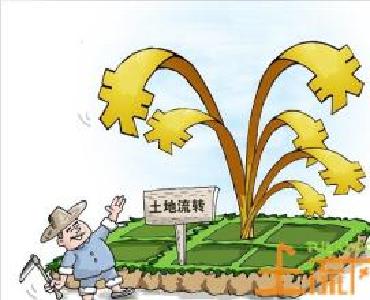 农村集体产权制度改革提速 土地确权颁证试点增至22省  