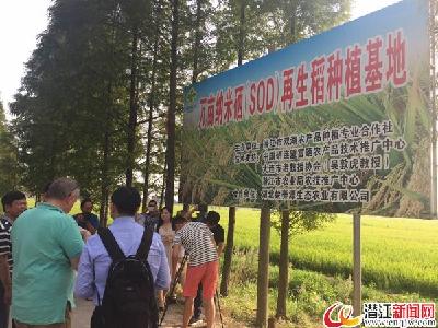 潜江纳米硒农产品吸引外来客 
