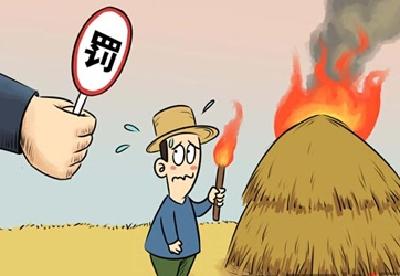王永珩：何时才能让禁烧不再尴尬 