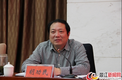 我市召开光信息电子产业“十三五”发展规划专家评审会 