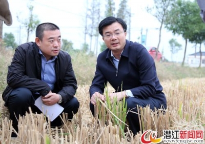 黄剑雄赴龙湾镇现场督办秸秆禁烧工作 