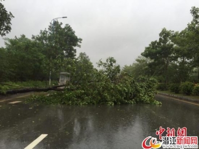 台风“海马”“吹”走广东近46亿元 受灾人数升至200万 