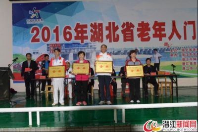 2016年湖北省老年人门球比赛圆满落幕