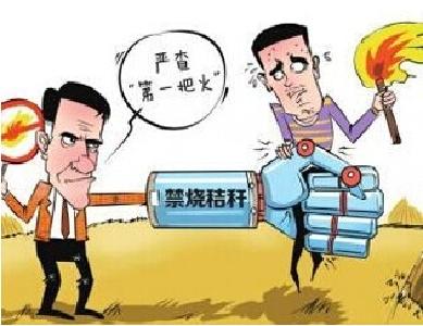 胡功民督导我市秸秆禁烧工作