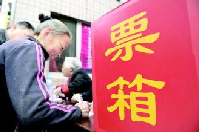 园林办事处：换届选举、“两保”征收两手抓两不误 