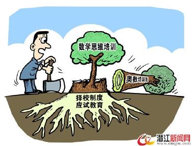 奥数成名校敲门砖 禁令年年发为何阻不了报班热情? 