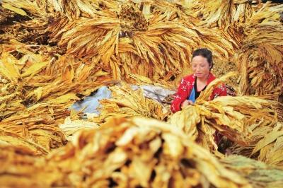 聚焦农民脱贫:人情与医疗消费占农民总消费一半