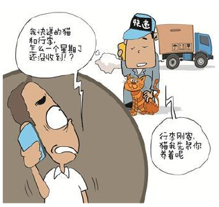 禁邮小动物 个别快递员有法不依偷揽活  