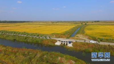 我国经济发达地区土地后备资源趋于枯竭  