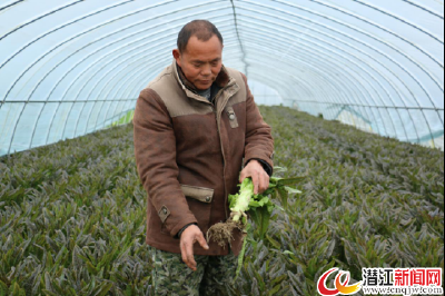 石文祥：种植大棚蔬菜实现脱贫梦 