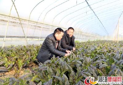 以“两会”精神为引领 构建和谐、宜居、特色运粮湖 