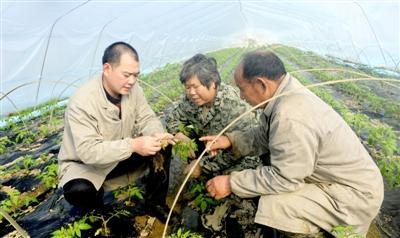 传授技术 引领致富 