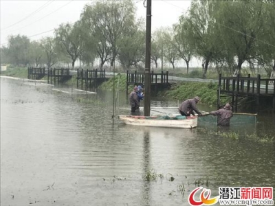 龙湾“四水农业”种养结合 农业绿色升级 