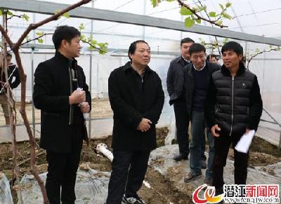 胡功民调研我市春季农业生产工作 