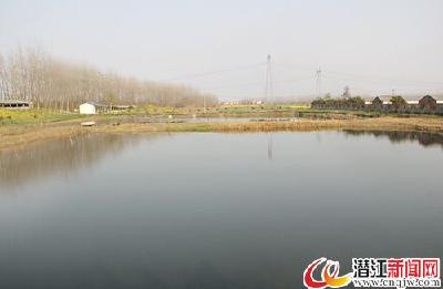 养殖达人徐国华转型办起家庭农场 