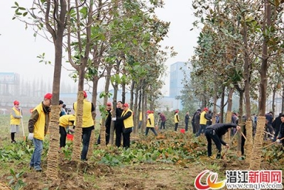 市“四大家”领导率干群到开发区生态景观林带义务植树 