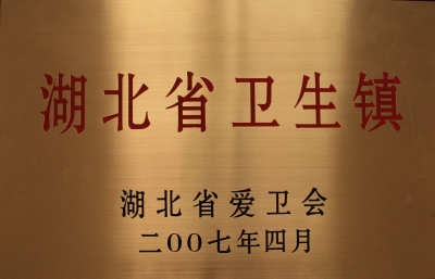 我市新增两个省级卫生镇 