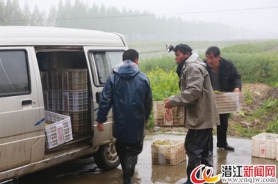 后湖脱贫攻坚见实效 