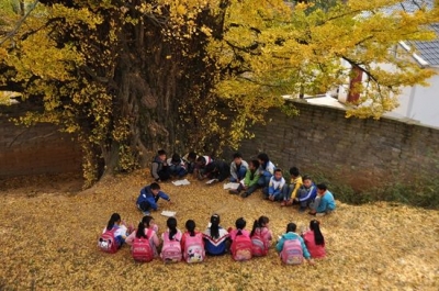 18年40余万所小学消失，它们校舍的“身后事”咋办 