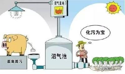 市政协组织视察畜禽养殖循环化发展工作