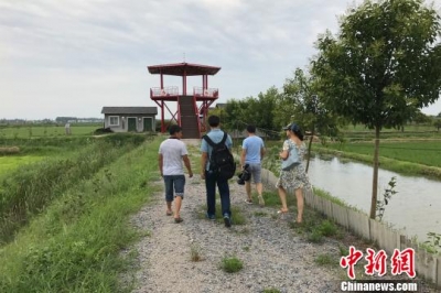 绿色融合发展 潜江“虾稻共作”成“生态福利”