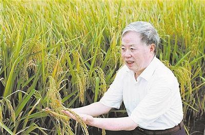 让苍生不再挨饿 “水稻院士”用一生履行承诺