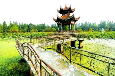 后湖奋力夺取返湾湖亮点片区建设大胜利