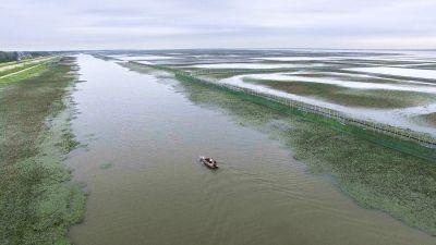 垃圾丛生 污水横流 大运河生态短板亟待补齐