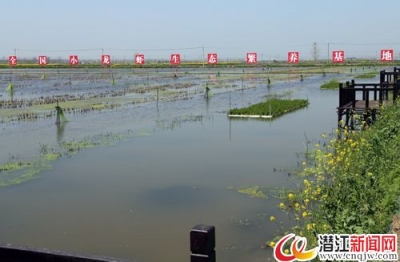 沃土奔跑 我市着力推进国家现代农业示范区建设 