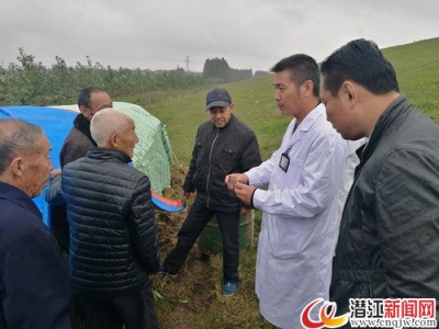 浩口卫生院送医送药助力防汛 