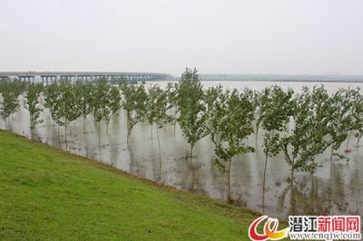 在外商人返乡助力救灾 