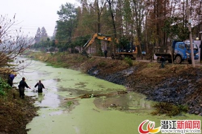 莫市村：以十九大精神为指导建生态宜居乡村