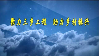 龚定荣主持召开市政府第27次常务会议