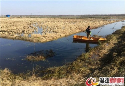 一只虾、一袋米撬动潜江乡村大振兴 